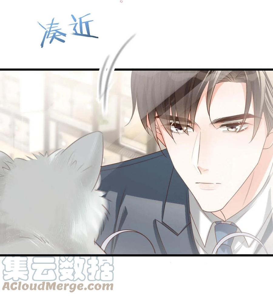 溺酒 042 沈庭未应该会喜欢它。 第39页