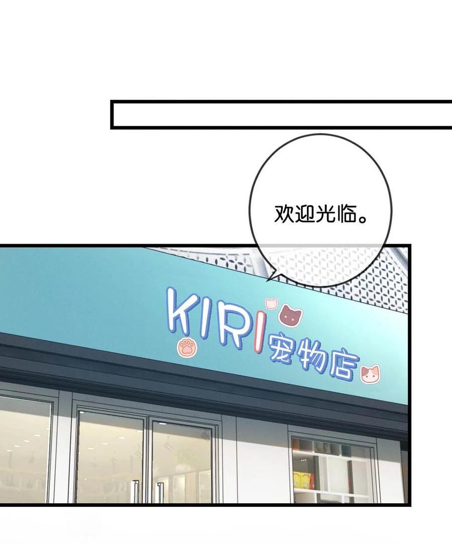 溺酒 042 沈庭未应该会喜欢它。 第26页