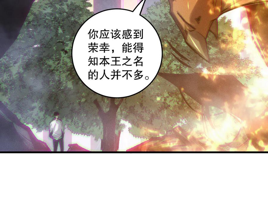 死灵法师！我即是天灾 第205话 远古地龙 第104页