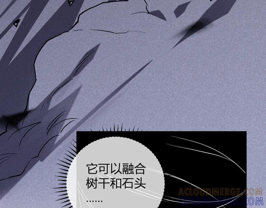 《我化身魔神，成为灭世巨兽！》第13话 终极进化 第5页