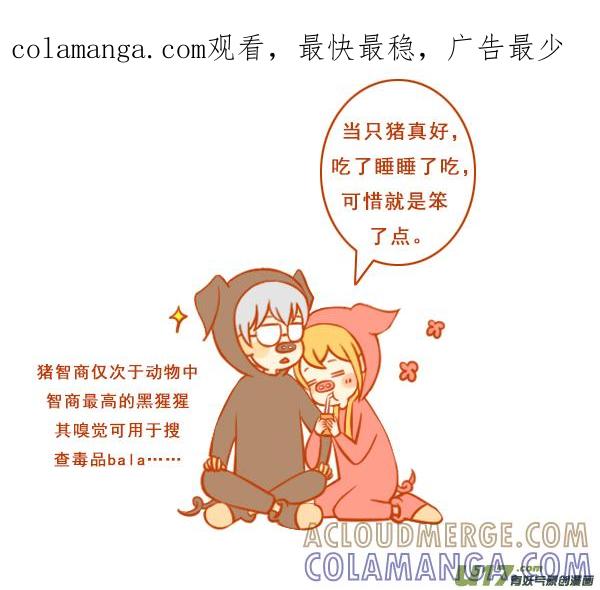 《全世界都在谈恋爱》两只猪 第1页