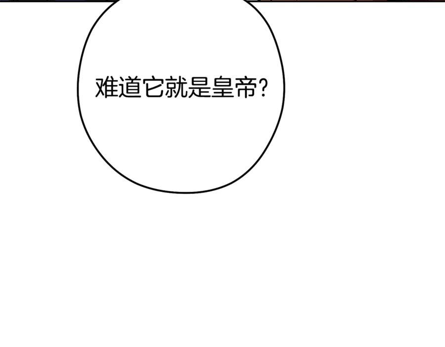 重启地下城 第229话 真正的世界树 第207页