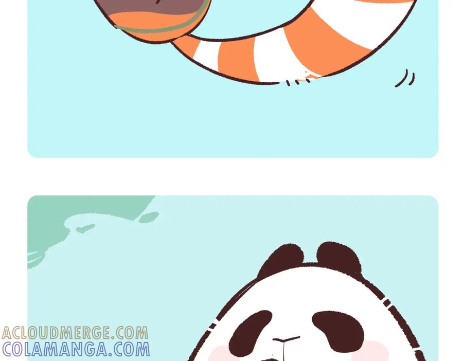 《胖达x胖达》第254话 第3页