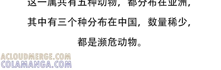《胖达x胖达》第66话 第25页