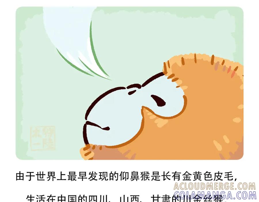 《胖达x胖达》第66话 第23页