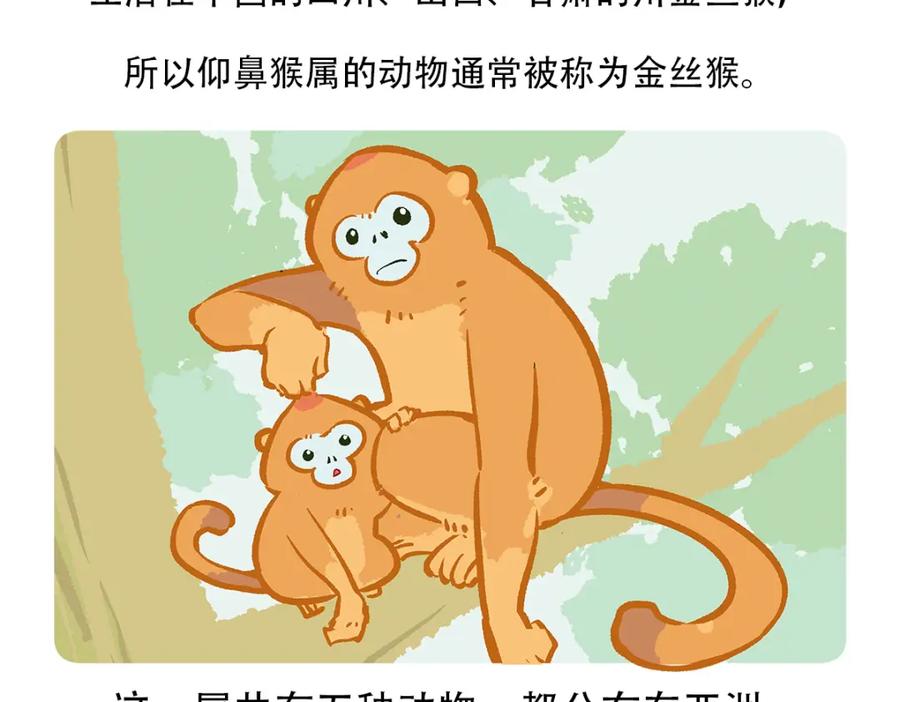 《胖达x胖达》第66话 第24页