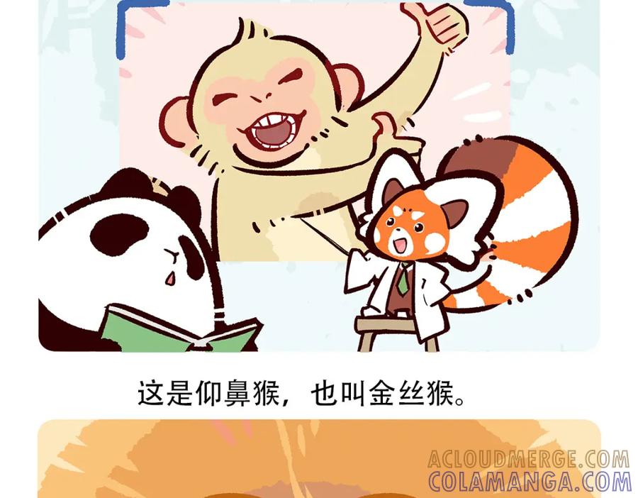 《胖达x胖达》第66话 第21页