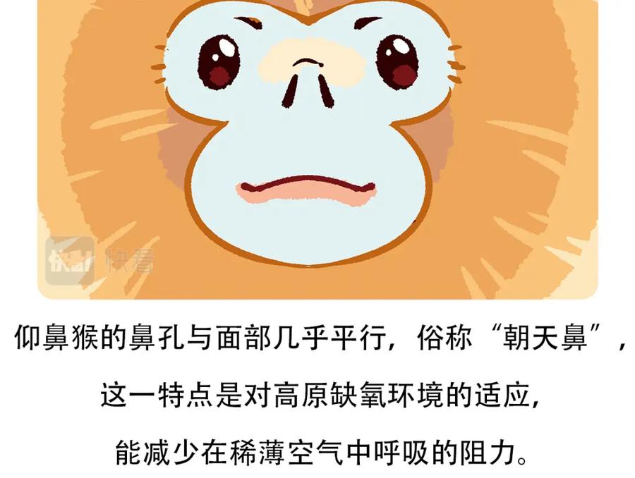《胖达x胖达》第66话 第22页