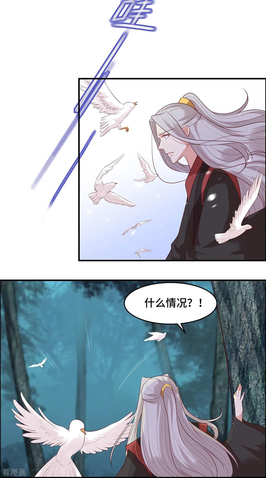 《你是我的桃花劫》第36话 遇袭 第6页