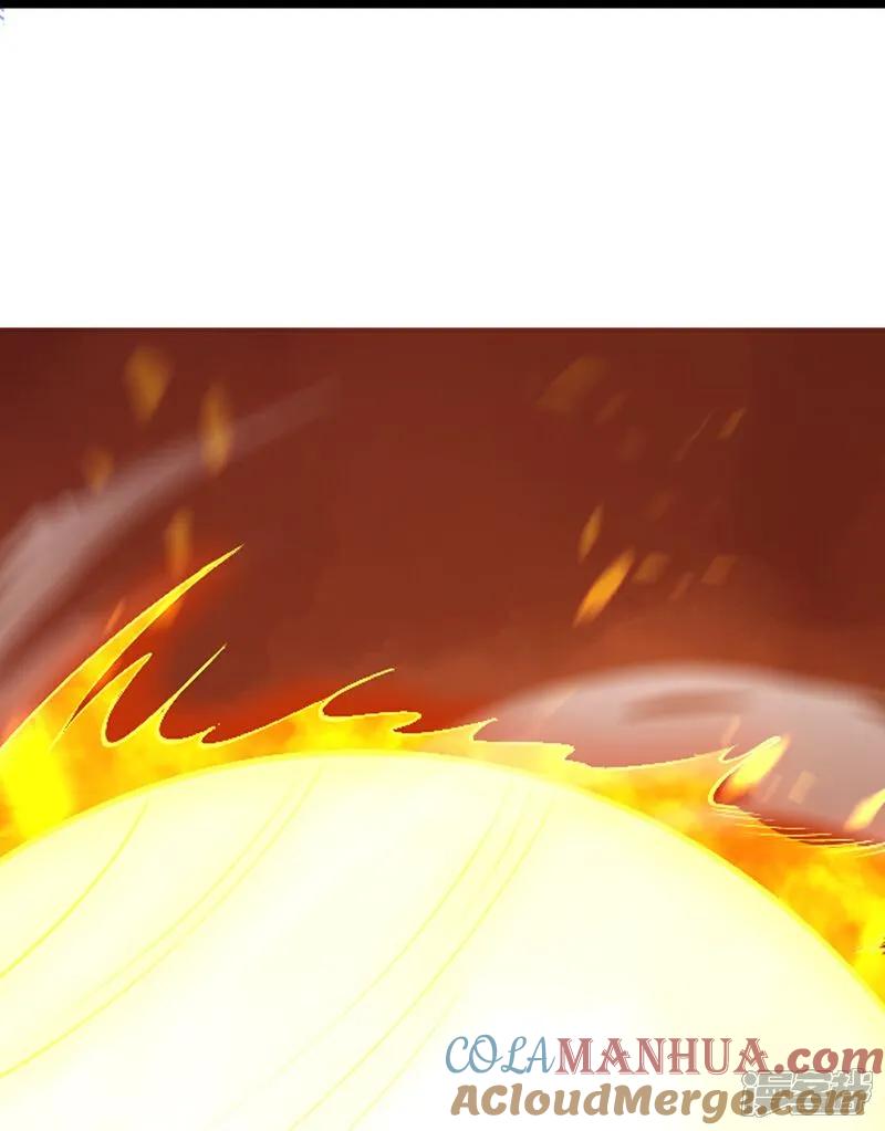 31.jpg