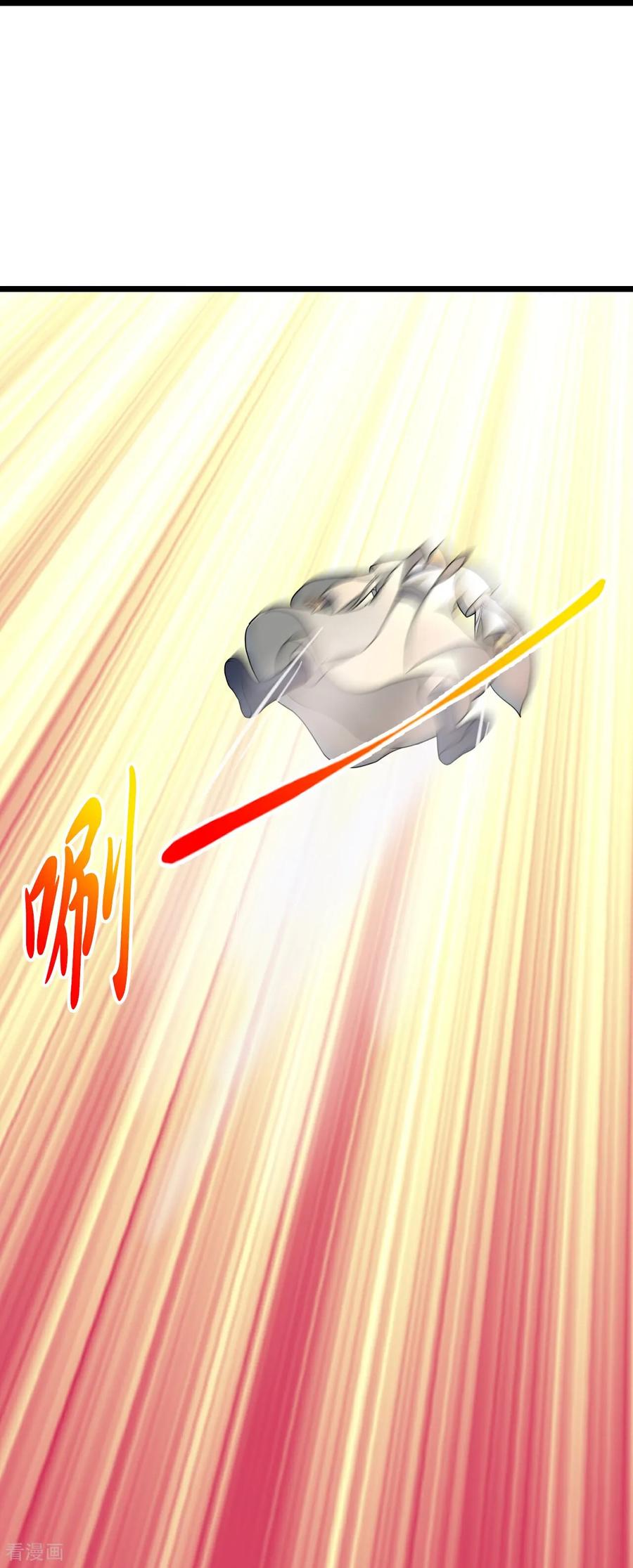 47.jpg