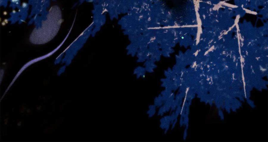 不幸的骑士，请和姐姐恋爱吧 - 第38话 寻找魔剑的真相 - 第134张图