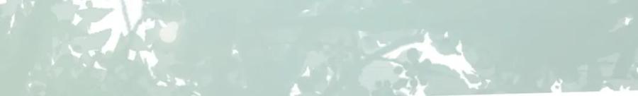 逆徒每天都想欺师犯上 87 红白玫瑰 第164页