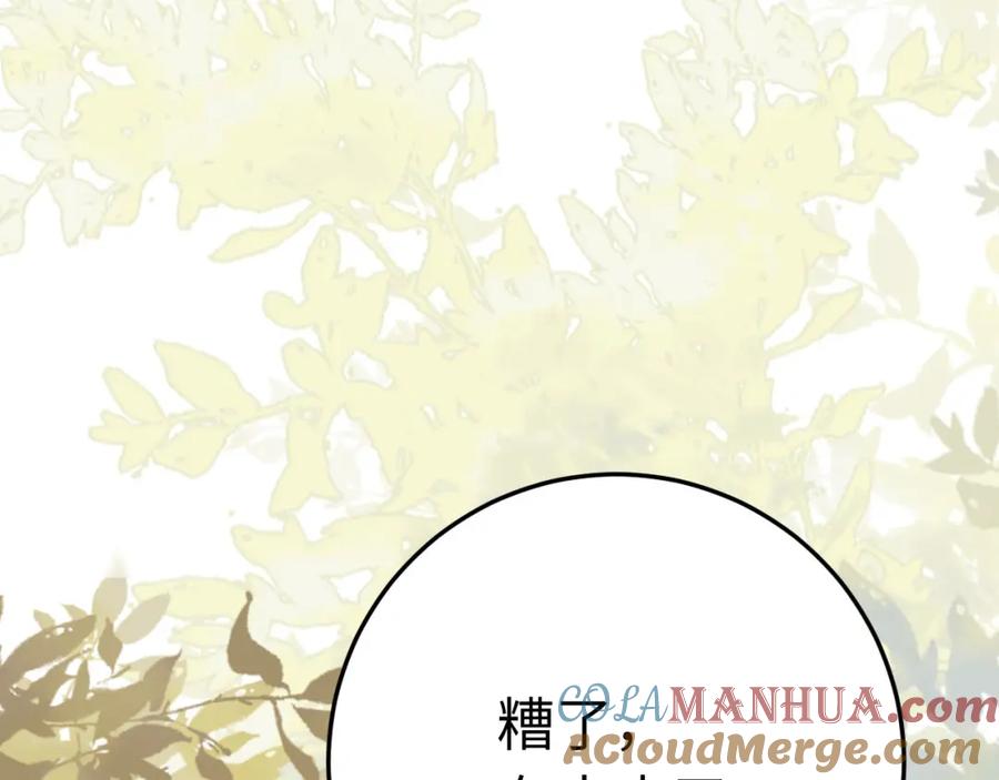 逆徒每天都想欺师犯上 102 夜夜黑化 第13页