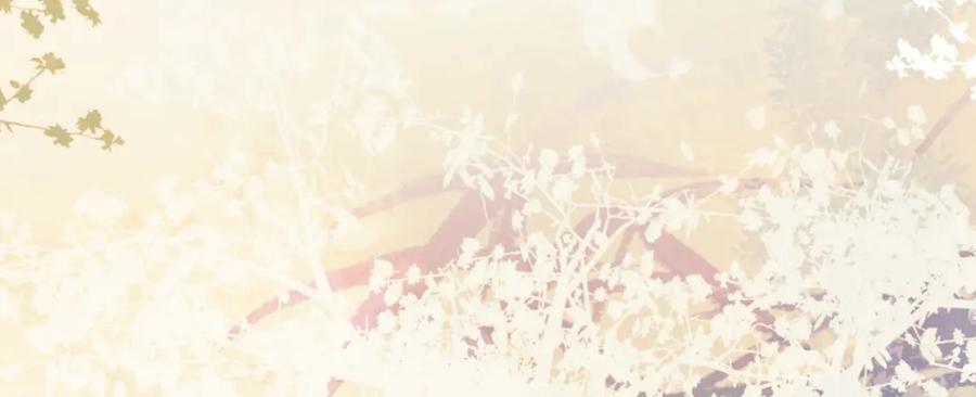 逆徒每天都想欺师犯上 115 师尊饶了我吧～ 第115页