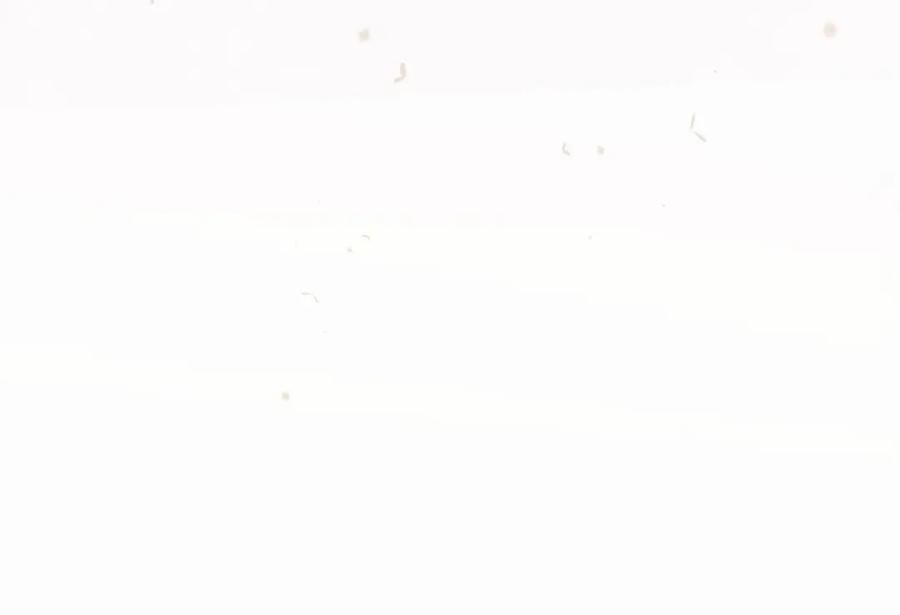 逆徒每天都想欺师犯上 125 天下和你我都要 第115页
