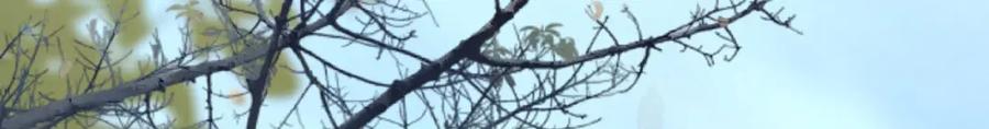 逆徒每天都想欺师犯上 133 相见不相识？ 第43页