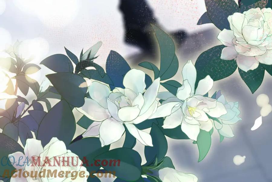 逆徒每天都想欺师犯上 153 最后一次表白 第117页