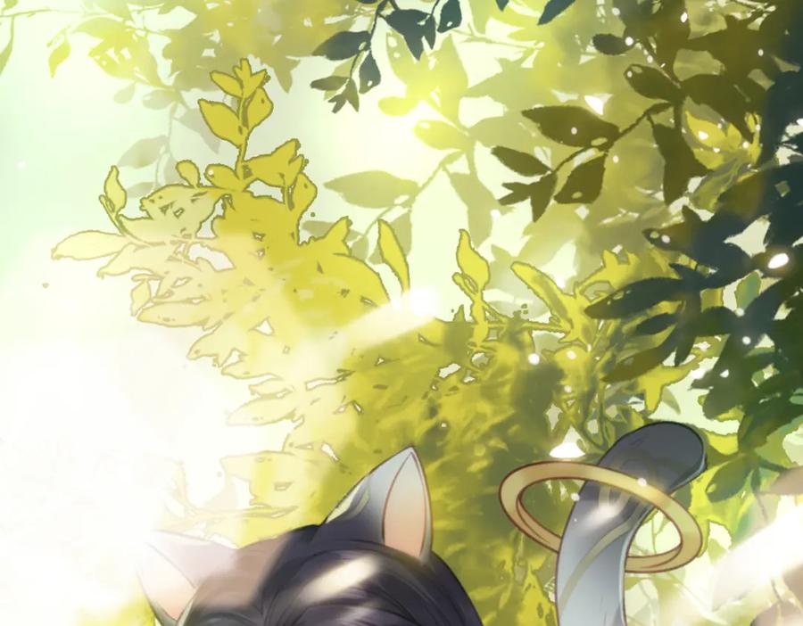 逆徒每天都想欺师犯上 96 师尊，不能摸尾巴 第27页