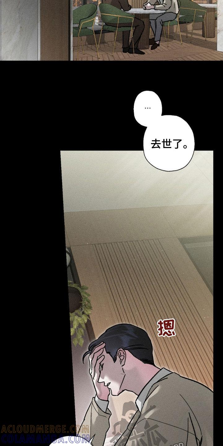《特写爱意》第28章：见一面 第13页