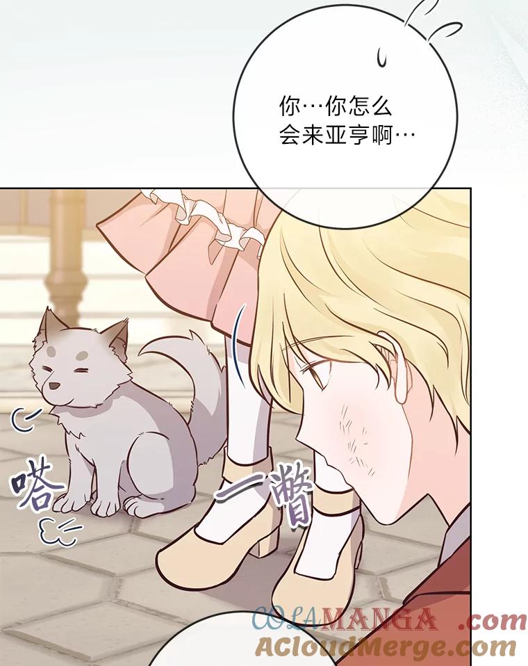 《你喜欢妈妈还是爸爸？》14.路遇豪森 第73页