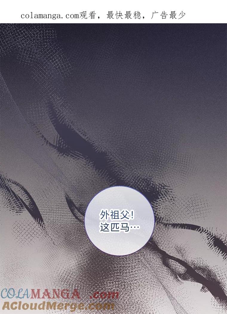《你喜欢妈妈还是爸爸？》20.暴躁的蓝鬃马 第1页