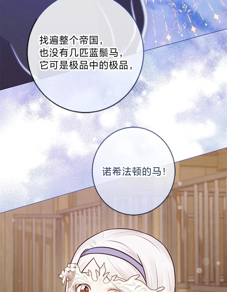 《你喜欢妈妈还是爸爸？》20.暴躁的蓝鬃马 第11页