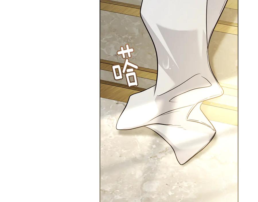 《公爵大人，请别太靠近》第105话 证明自己的价值 第164页