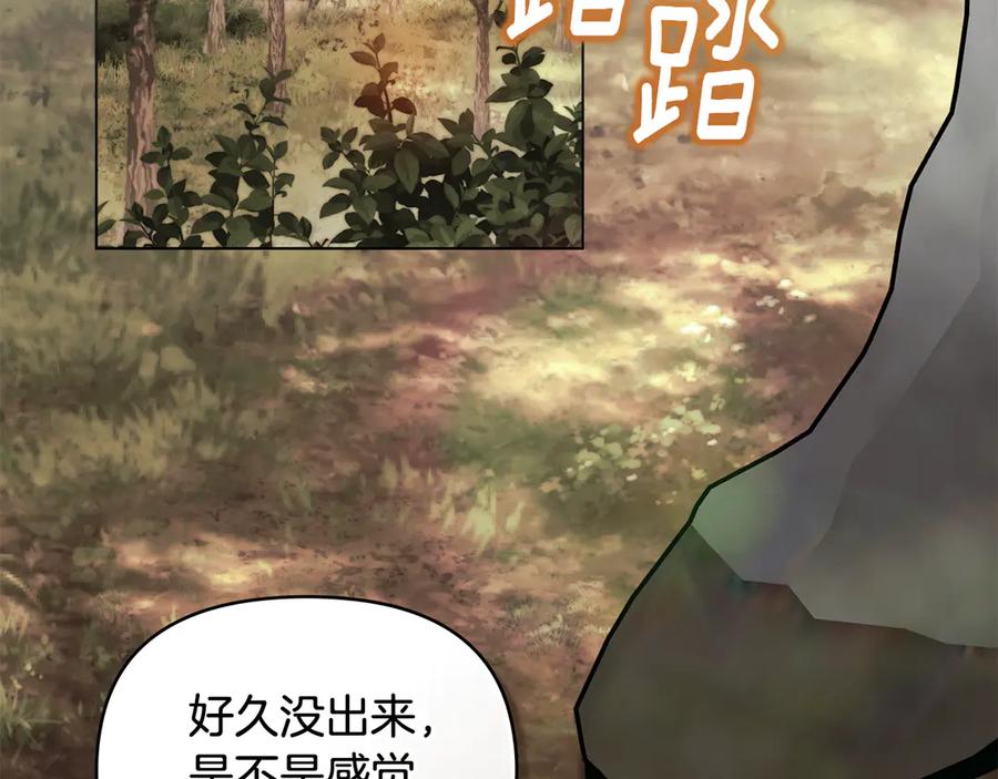 《公爵大人，请别太靠近》第109话 发现私藏邀请函 第147页