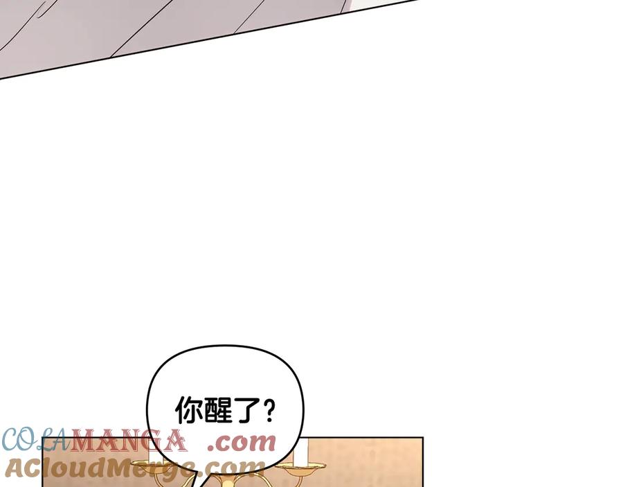 《公爵大人，请别太靠近》第121话 建立自治都市 第117页