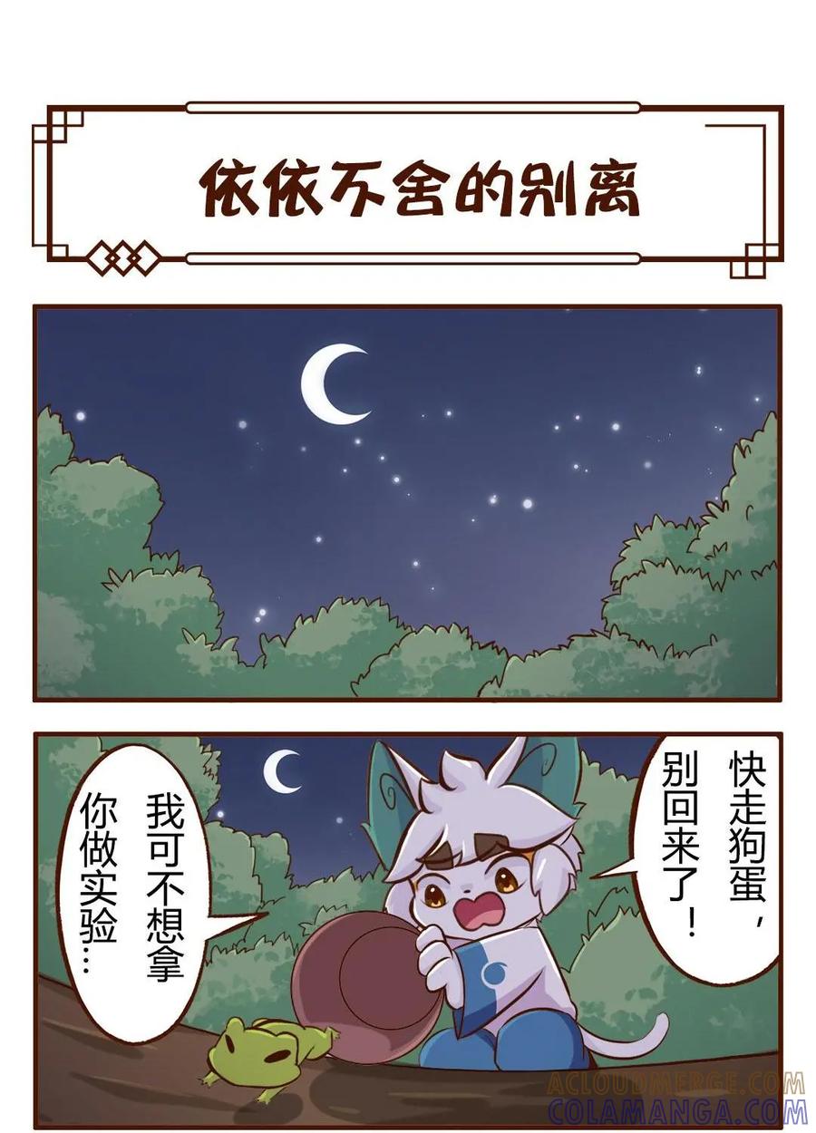 《京剧猫喵日常》第128话：白糖与小青蛙-依依不舍的离别 第2页