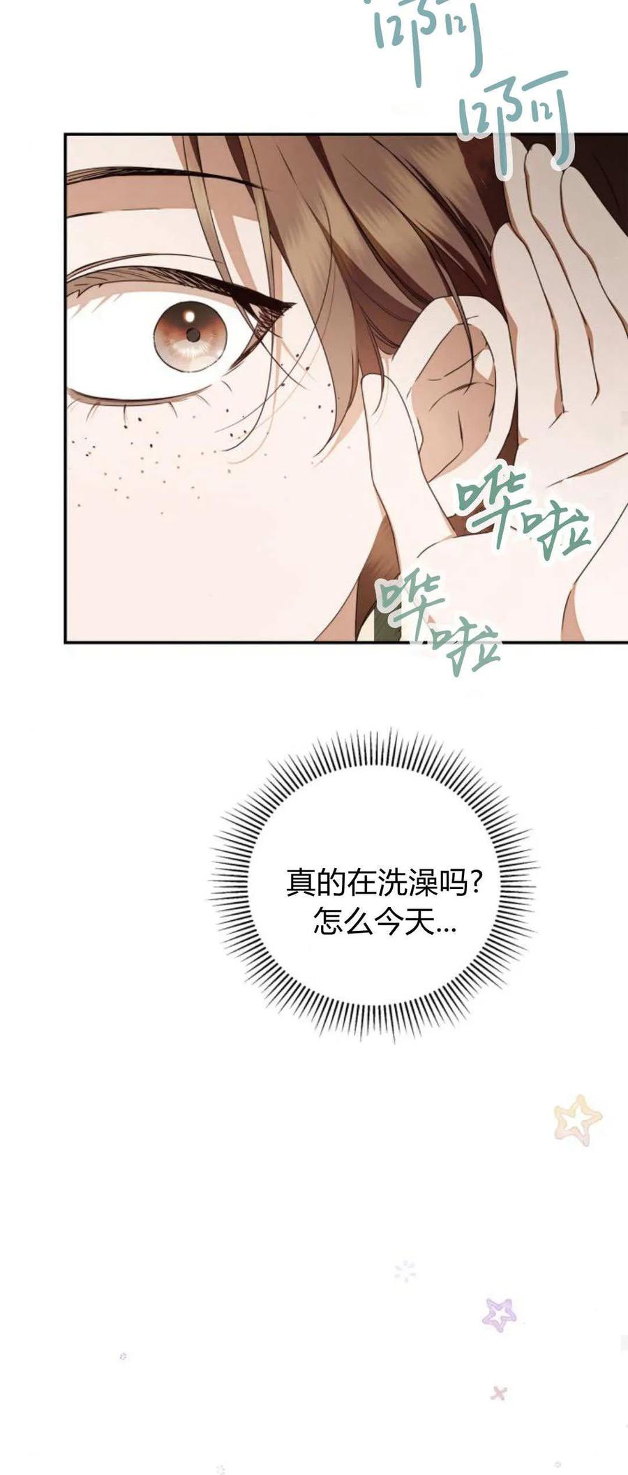《伯爵家的神秘侍女》第15话 第29页