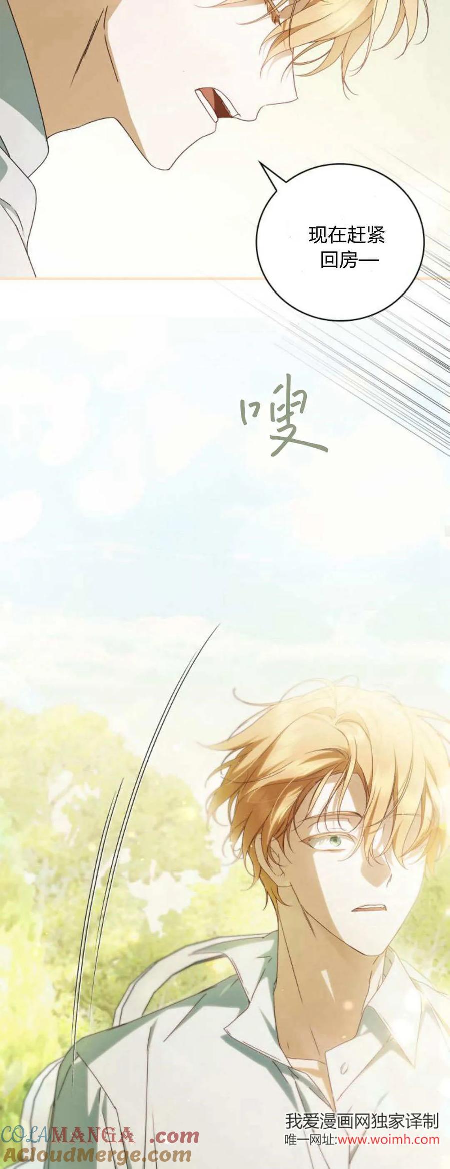 《伯爵家的神秘侍女》第15话 第46页