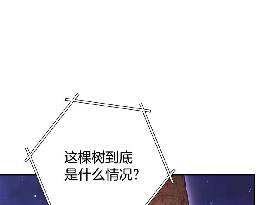 重启地下城 第208话 世界树 第3页