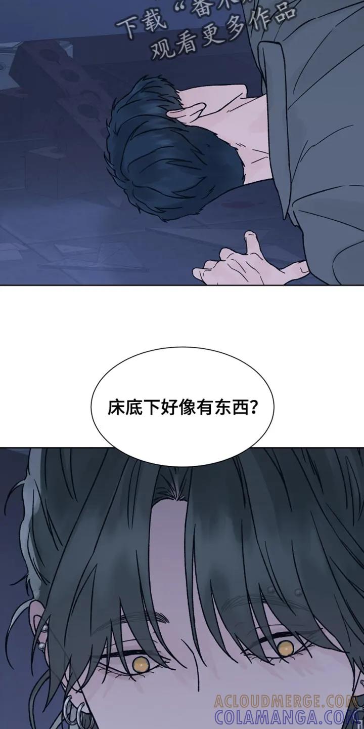 《狂夜追凶》第77章：【第二季】闯祸 第13页