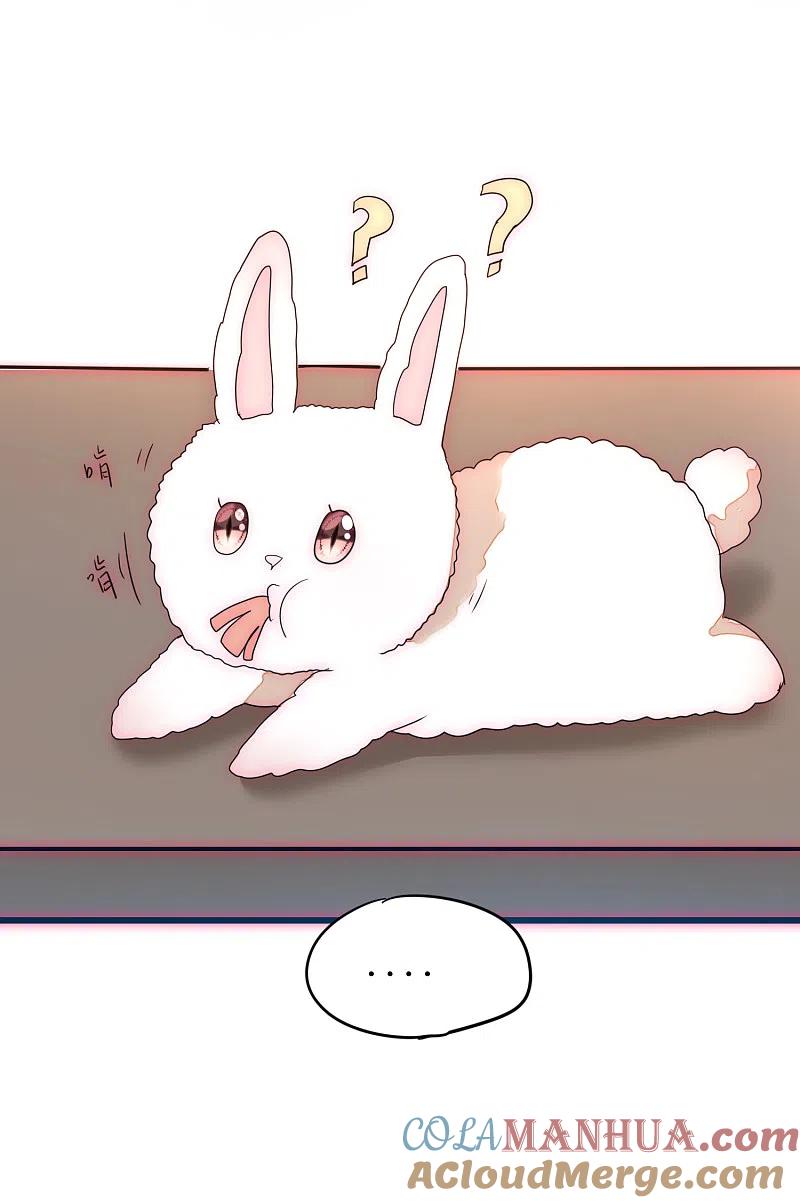 逆转仙途 日常番外1 生日礼物 第5页