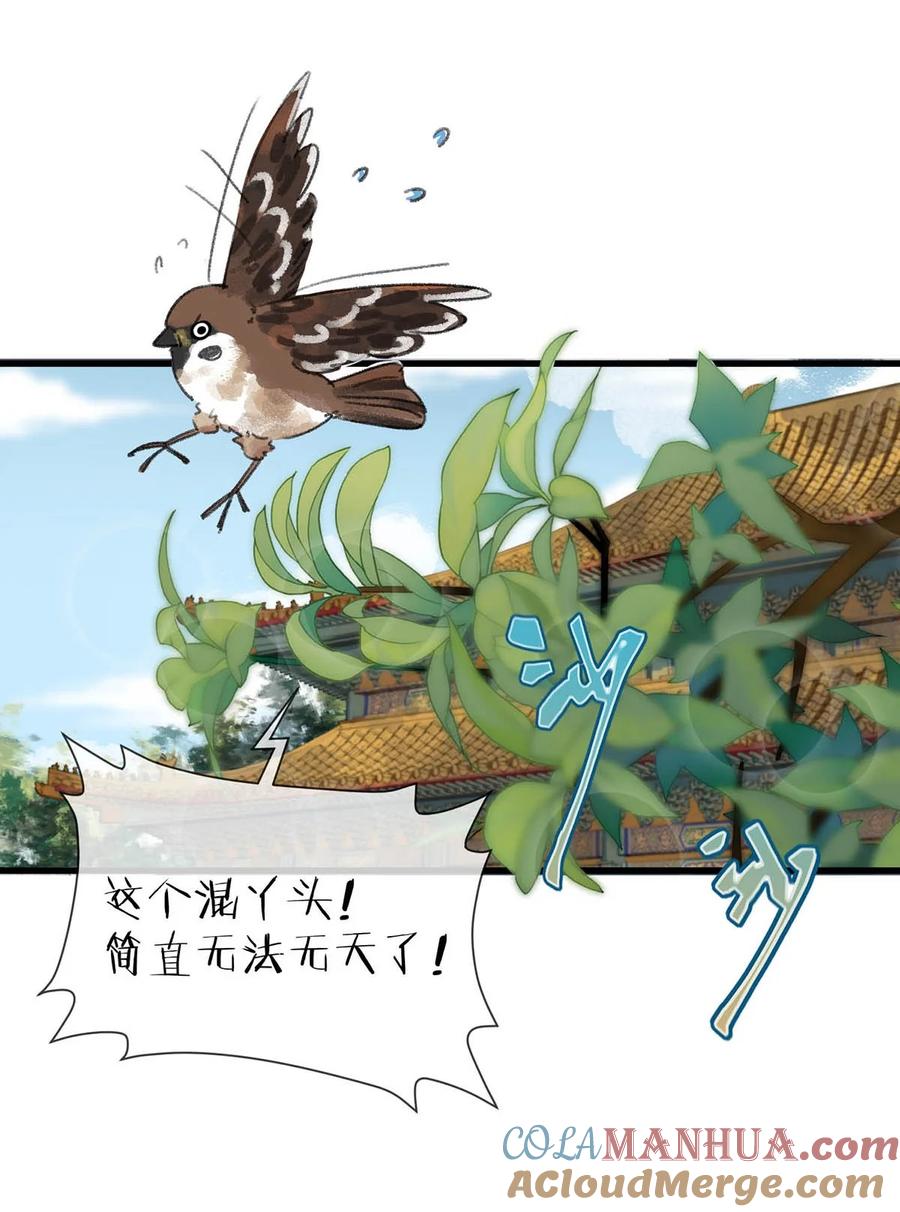 女扮男装后攻略疯批奸臣？！ 007 解 暑 佳 品 第43页