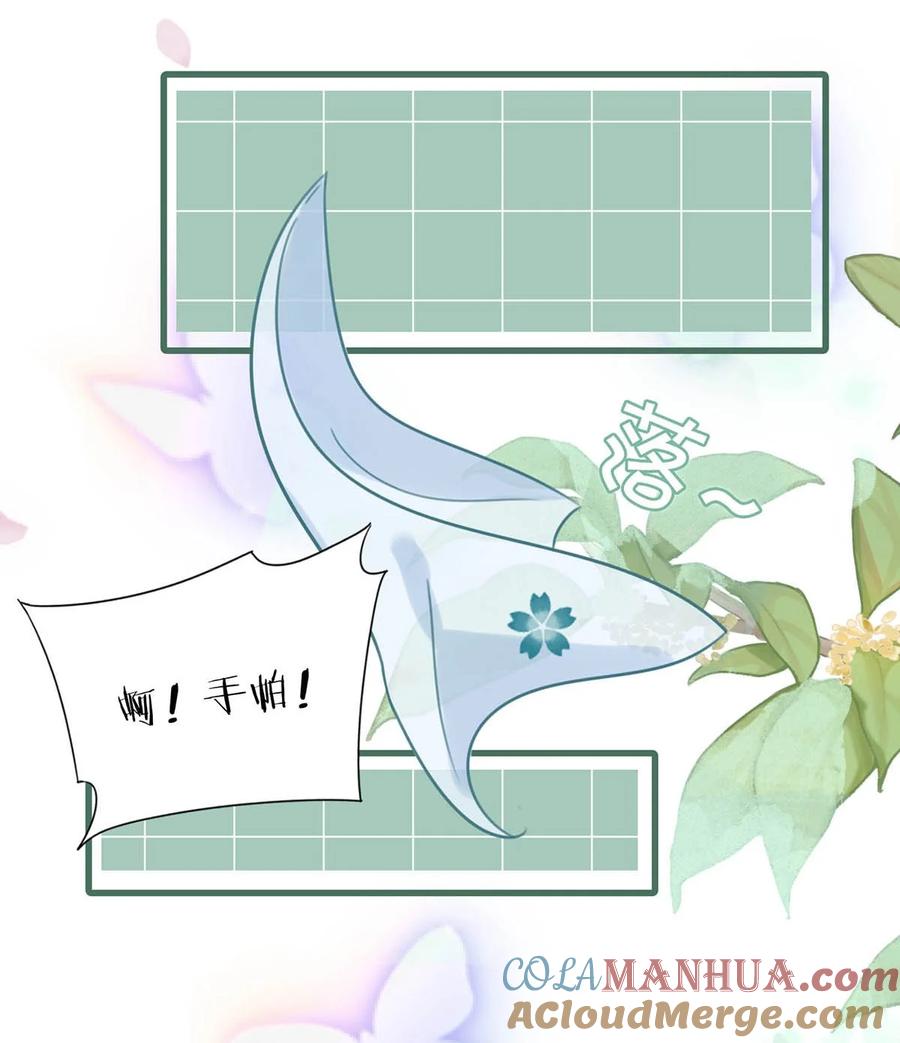 女扮男装后攻略疯批奸臣？！ 016 天天装出一副女人样子，他是不是故意的…… 第33页