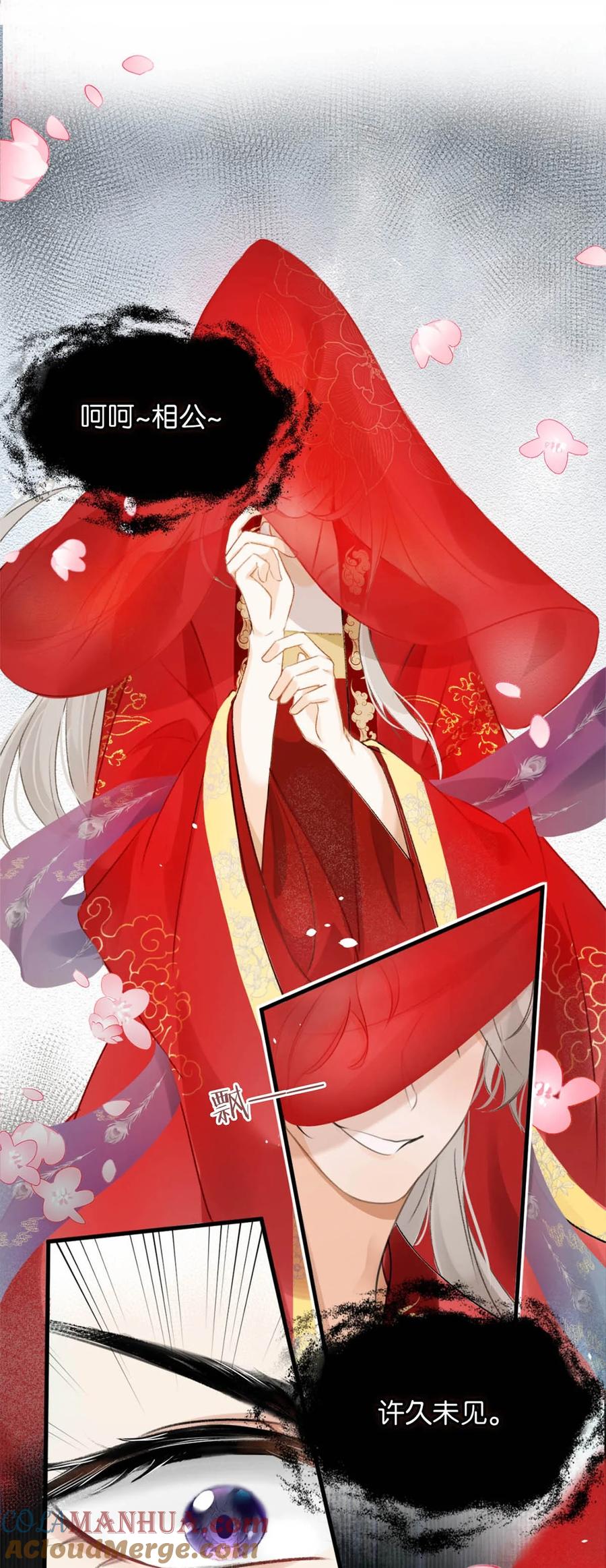 女扮男装后攻略疯批奸臣？！ 番外 成……成亲了？ 第13页