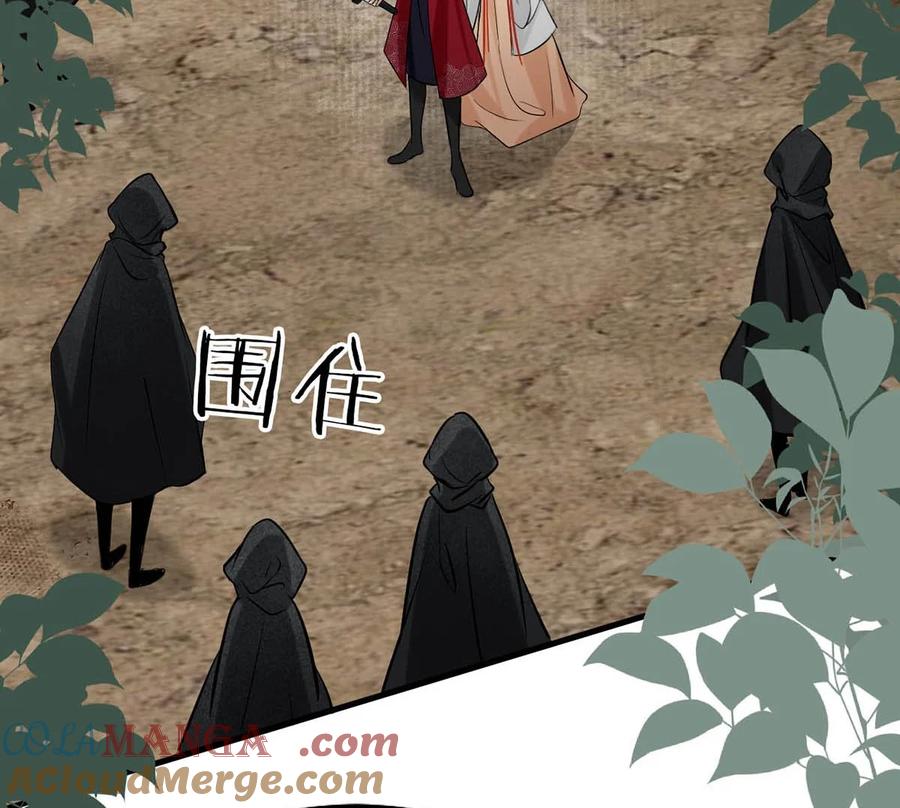 女扮男装后攻略疯批奸臣？！ 056 若我们再见面，告诉我你是谁。 第29页