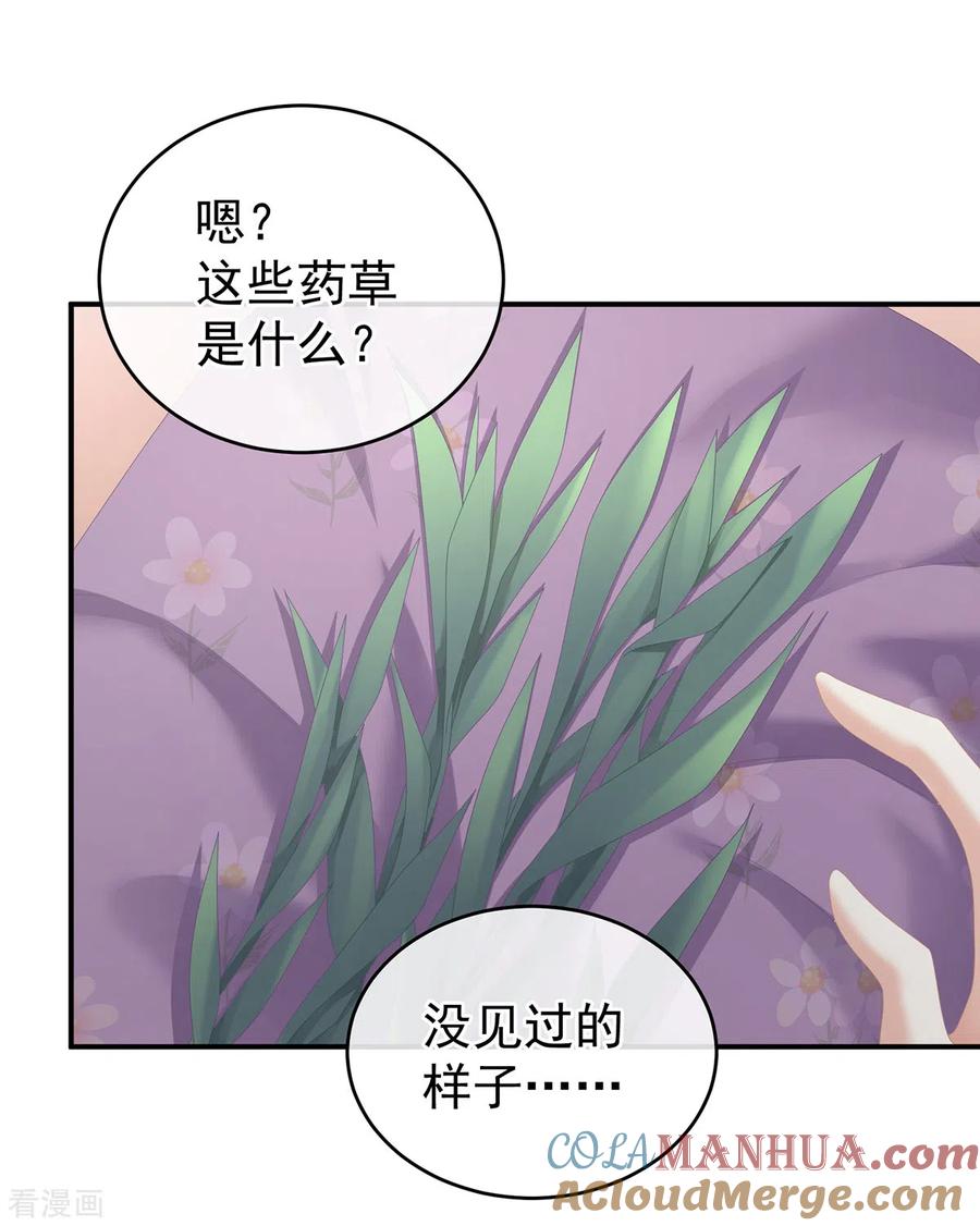 《女帝的后宫》第244话 乖，配合我 第15页