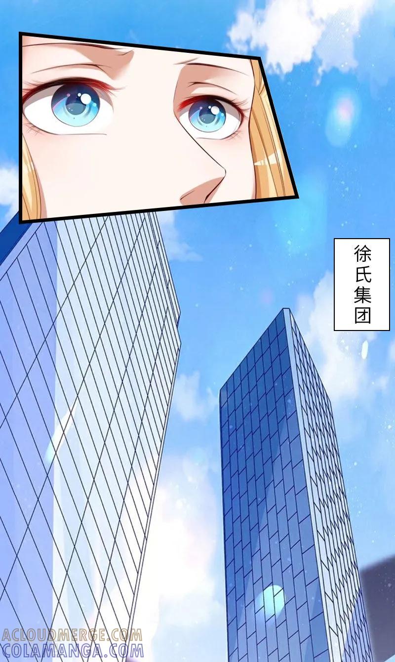 《豪门强宠：秘密乖牌》第20话 项目出事 第15页