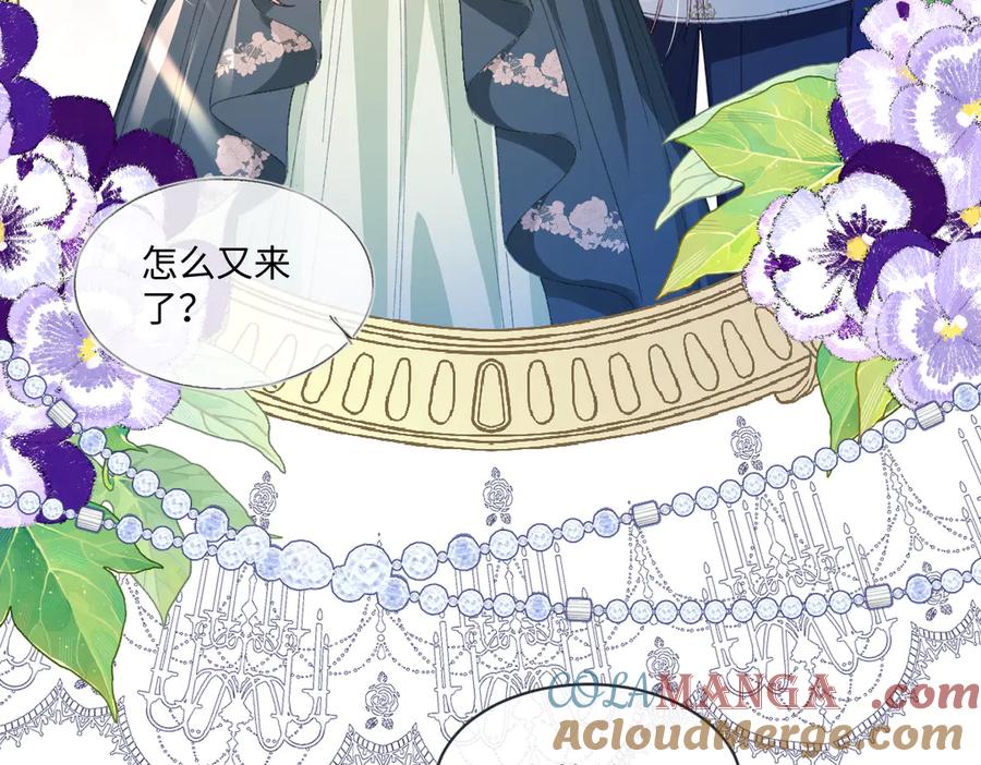 《虐文女主觉醒后》14 伯爵府女婿 第61页