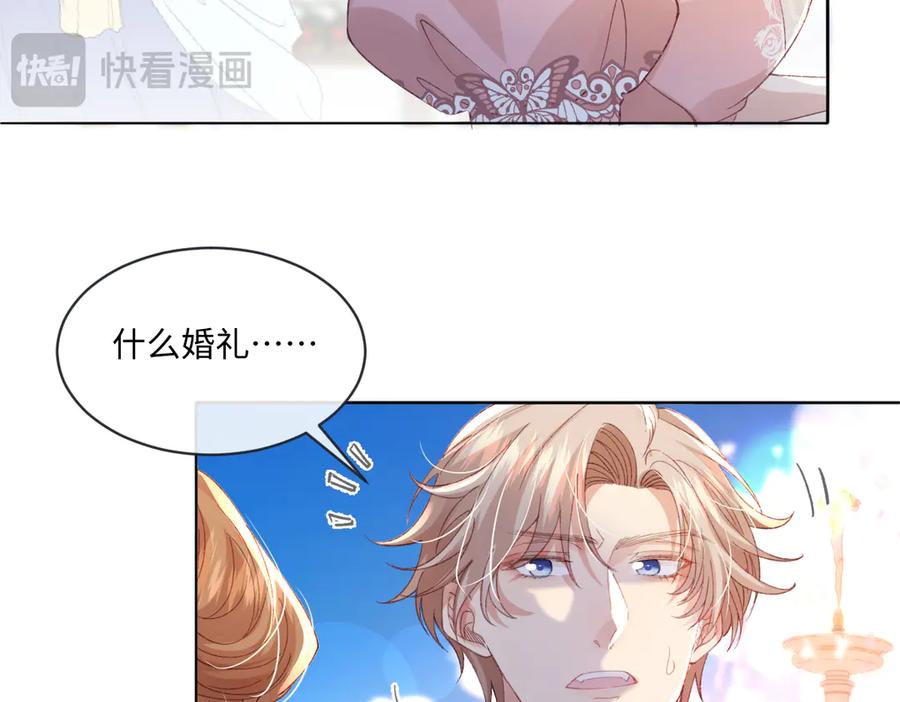 《虐文女主觉醒后》14 伯爵府女婿 第48页