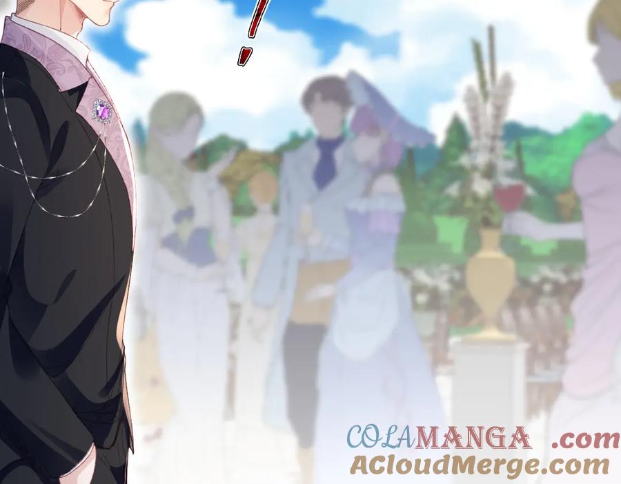 《虐文女主觉醒后》14 伯爵府女婿 第13页