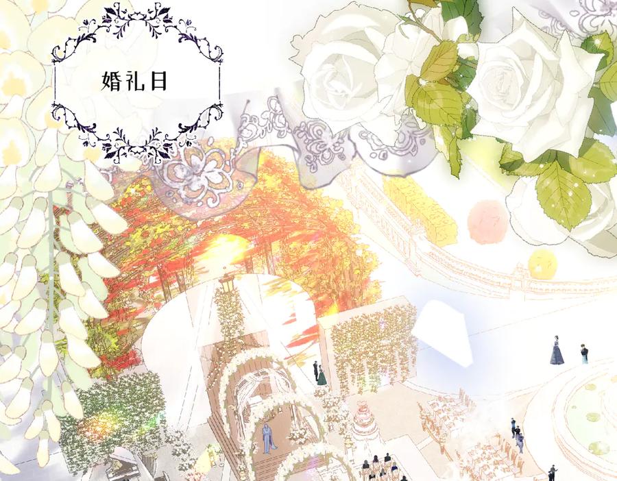 《虐文女主觉醒后》16 婚礼 第8页