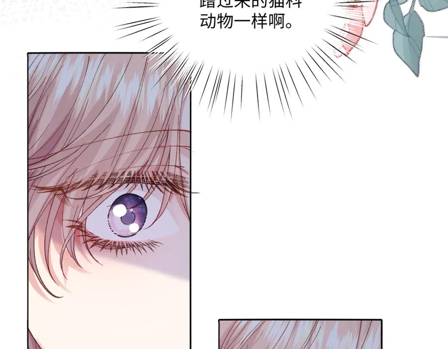 《虐文女主觉醒后》18 婚后的压力 第25页