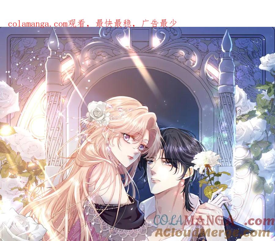 《虐文女主觉醒后》28 新婚寡妇 第1页