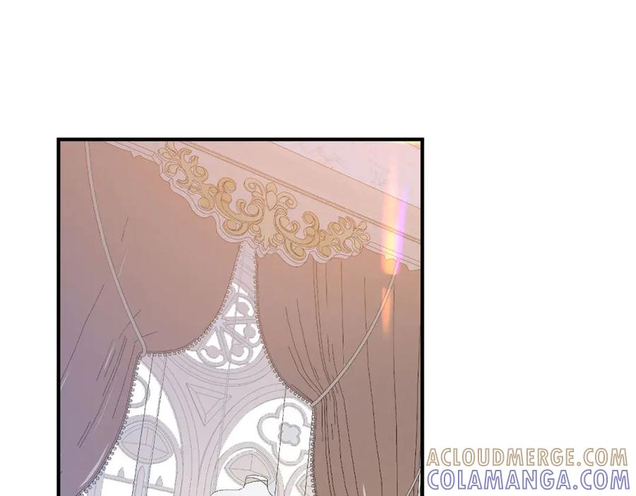《虐文女主觉醒后》48 我老婆真厉害 第16页