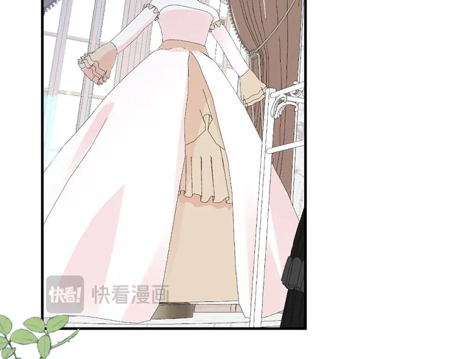 《虐文女主觉醒后》48 我老婆真厉害 第17页